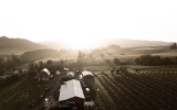 the farm from above