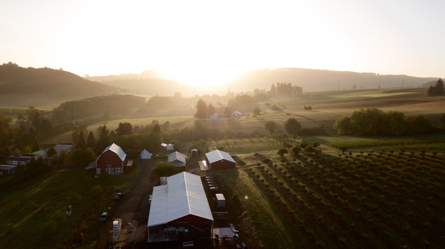 the farm at sunset from above